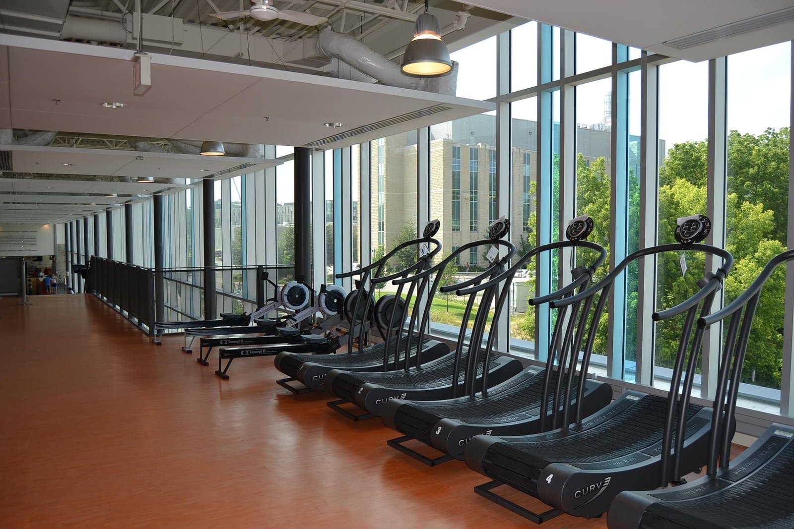 Gymnasium